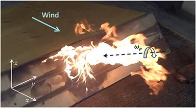 Modeling Vorticity-Driven Wildfire Behavior Using Near-Field Techniques